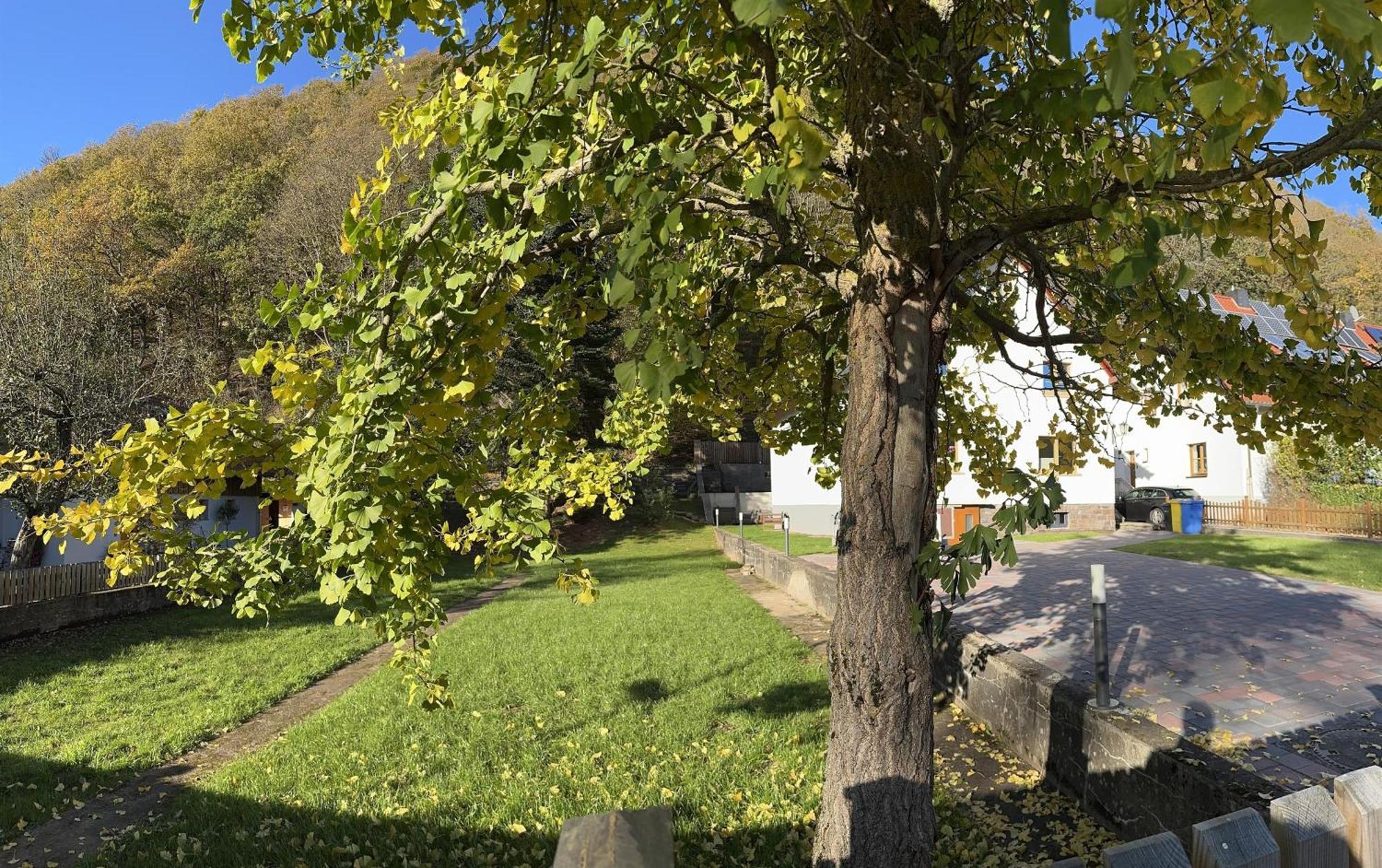 Ferienhaus Ginkgo Biloba Malsbenden Eksteriør bilde