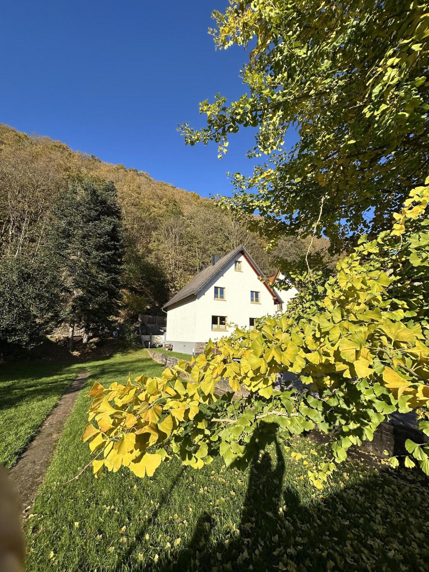 Ferienhaus Ginkgo Biloba Malsbenden Eksteriør bilde